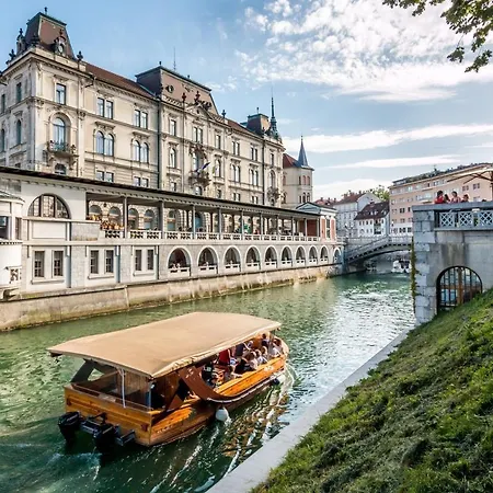 Apartman Royal Deluxe *